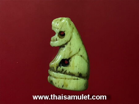 Rare amulet B.E.2470 tiger amulet carved from tiger bone by LP Ruen (GOD30)