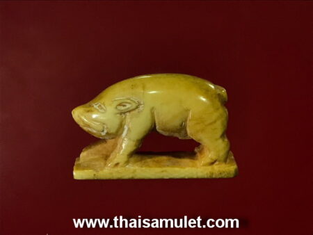 Rare amulet B.E.2480 Mhoo Khiew Tan or wild boar ivory amulet by LP Heng (GOD39)