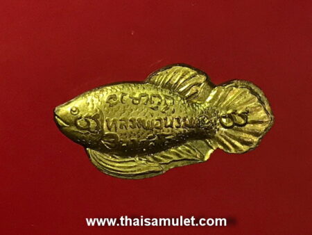 B.E.2540 Pla Kad Thong or magical fish amulet (GOD44)