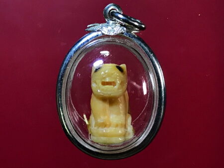 Protect amulet tiger amulet created from tiger fang with silver casing (GOD119)