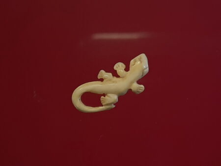 Rare amulet B.E.2510 Jingjok or lizard ivory amulet in small imprint (GOD130)