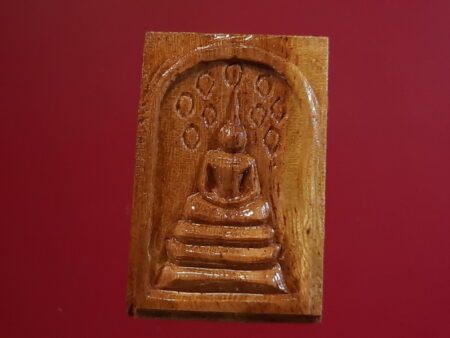 B.E.2560 Phra Somdej Prok Pho Mai Mongkol or holy tree amulet (SOM264)