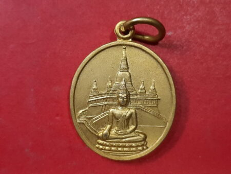 Wealth amulet B.E.2549 Buddha with golden mountain copper coin with golden color (SOM433)