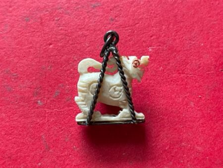 Rare amulet B.E.2515 Singha ivory amulet in beautiful condition with original casing by LP Hom (GOD391)