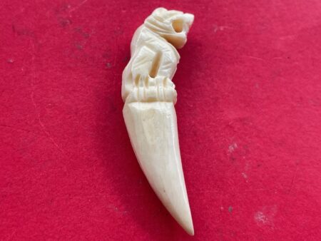 Protect amulet B.E.2535 tiger ivory amulet with beautiful condition by LP Pern – Maha Amnart batch (GOD408)