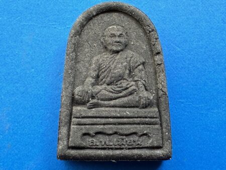 Protect amulet B.E.2557 LP Mian holy powder amulet with Phra Nak Prok Bai Makham copper coin – First batch (MON1076)