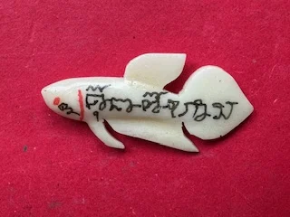 Wealth amulet B.E.2555 Pla Kad Saraphat Nuek or magical fish ivory amulet by LP Nuam (GOD546)